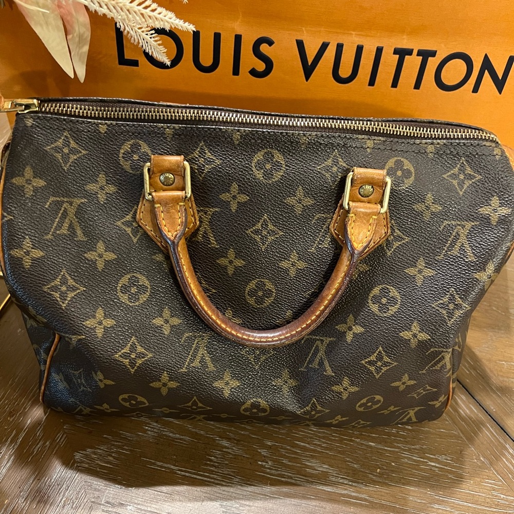 Louis Vuitton Speedy Monogram 30